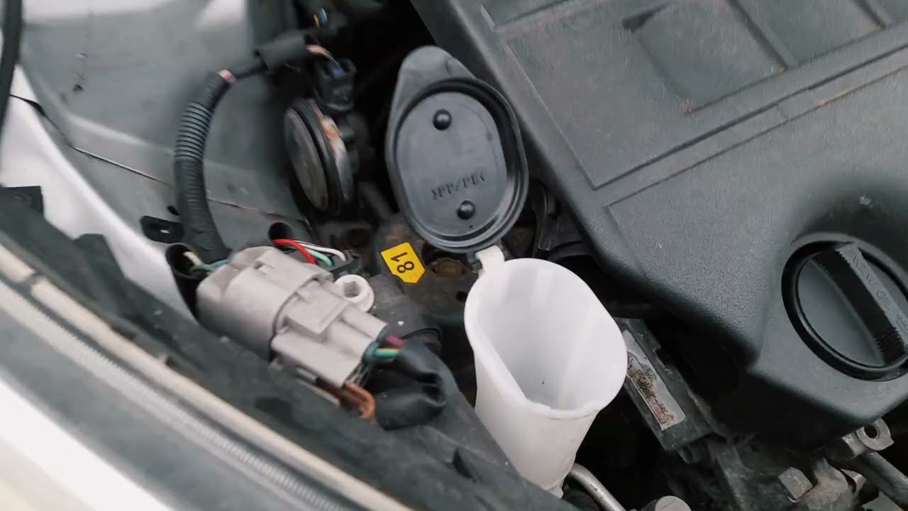 HOW TO check the engine bay basics | A No-Nonsense Guide