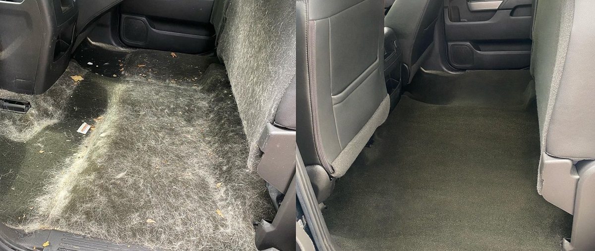 before after removing dog hair from upholstery