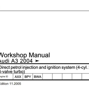 Audi A3 2004 Direct petrol injection and ignition system (4-cyl. 2.0 ltr. 4-valve turbo) Workshop Manual