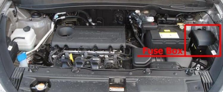 Ford Mustang 2010 Owner's Manual