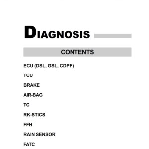 ssang yong rexton fault codes dtc