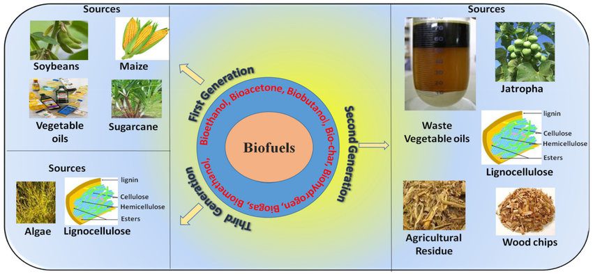 biofuel types and sources