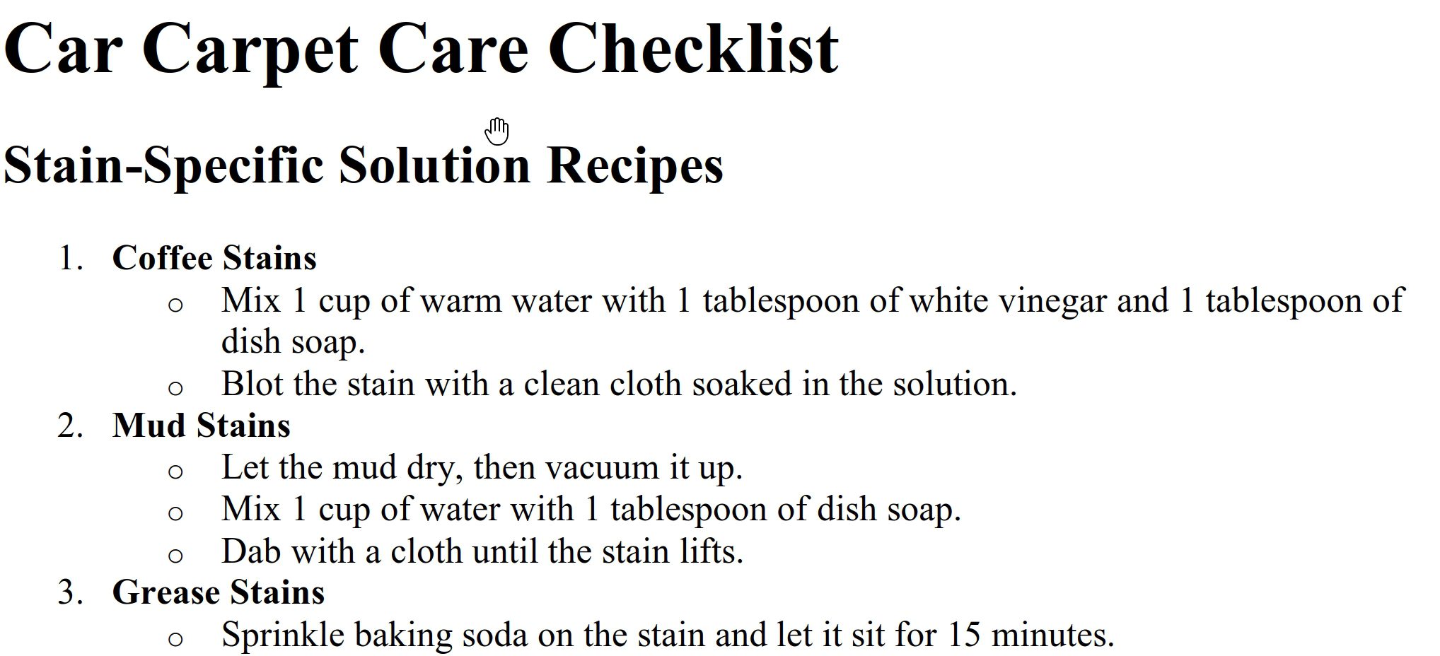 carpet care checklist preview