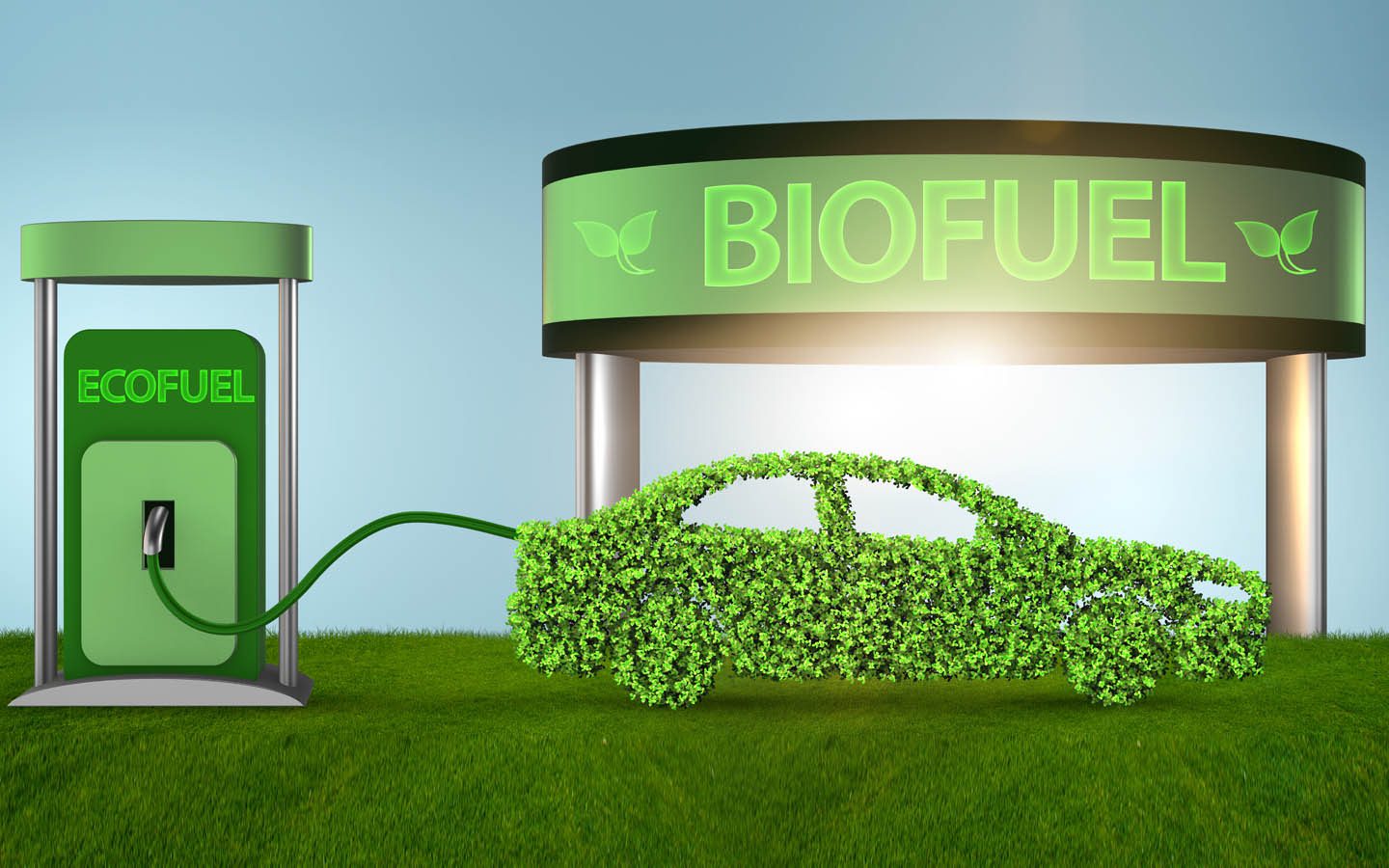 converting your gas car to biofuel pros and cons