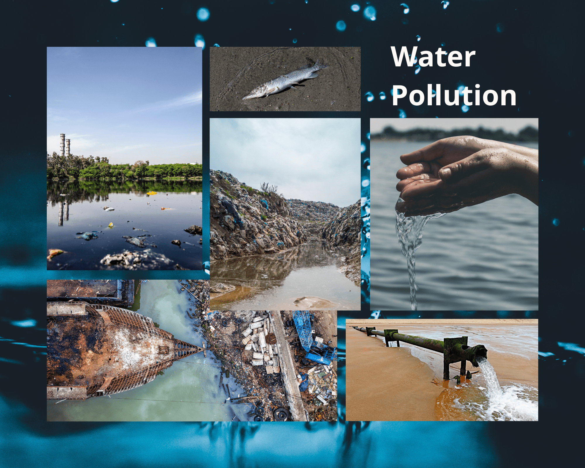 eco vs. chemical runoff impact eco vs. chemical runoff impact