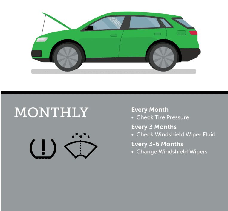 infographic “monthly wiper care routine.”