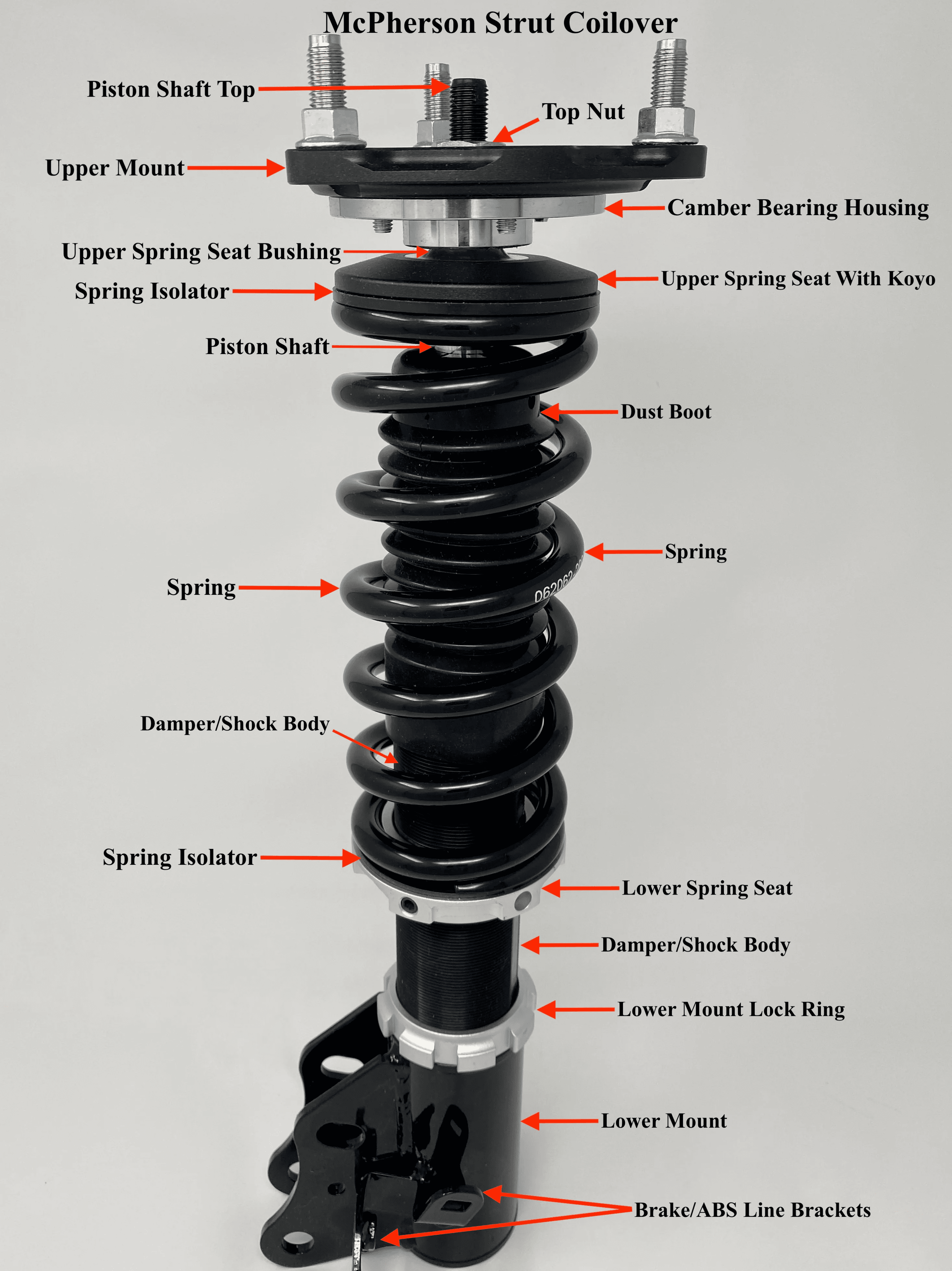 lowering spring anatomy lowering spring anatomy