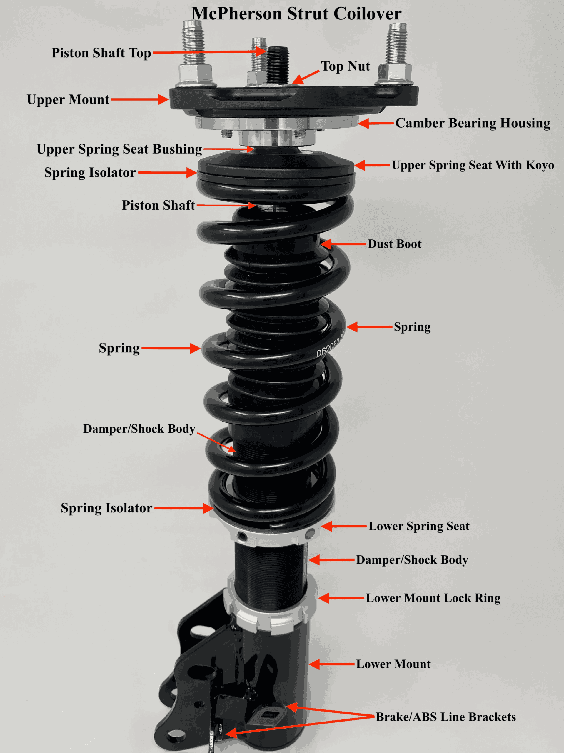 lowering spring anatomy