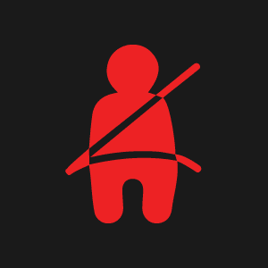 seat belt reminder light