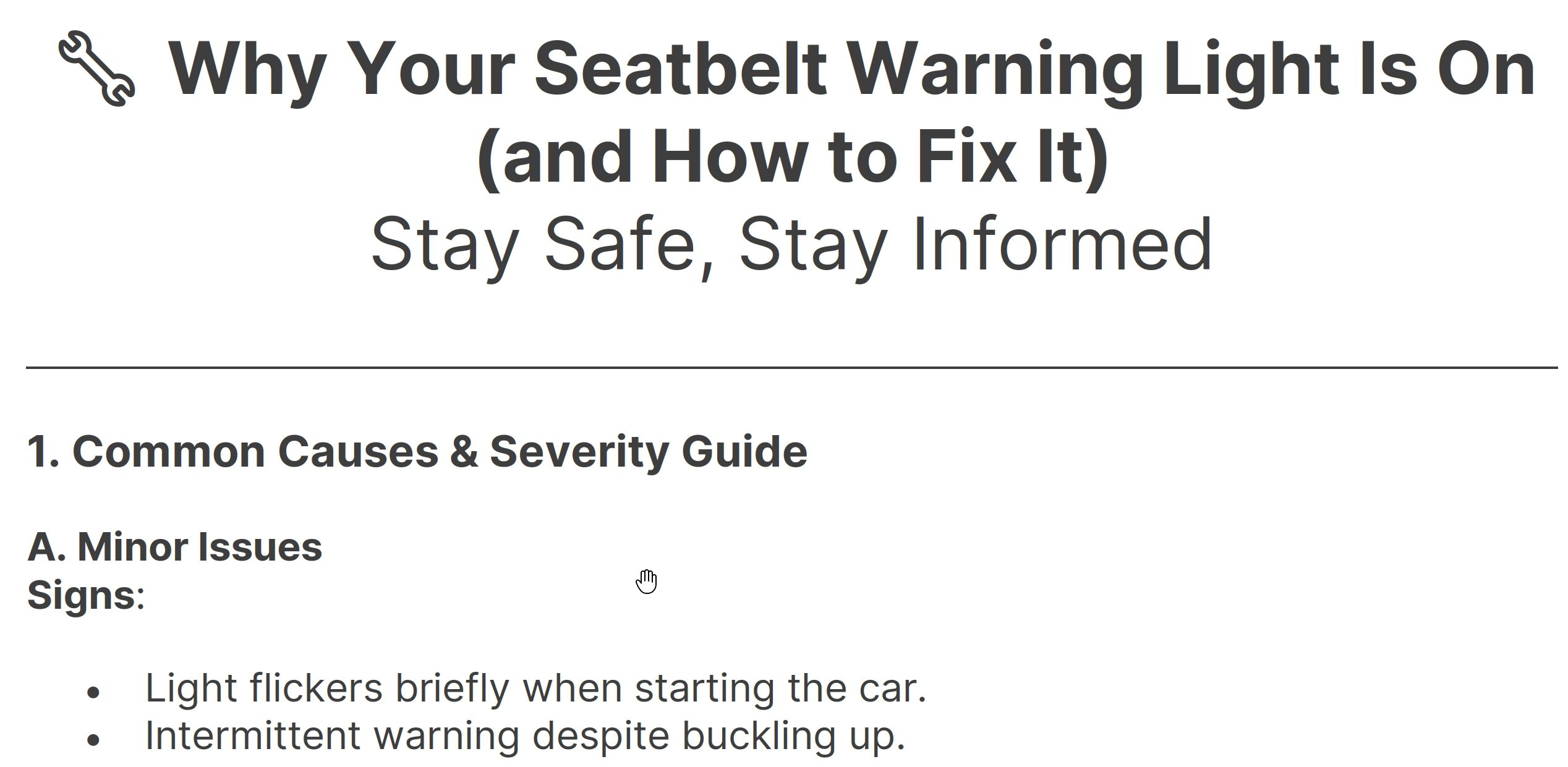 seatbelt safety checklist preview