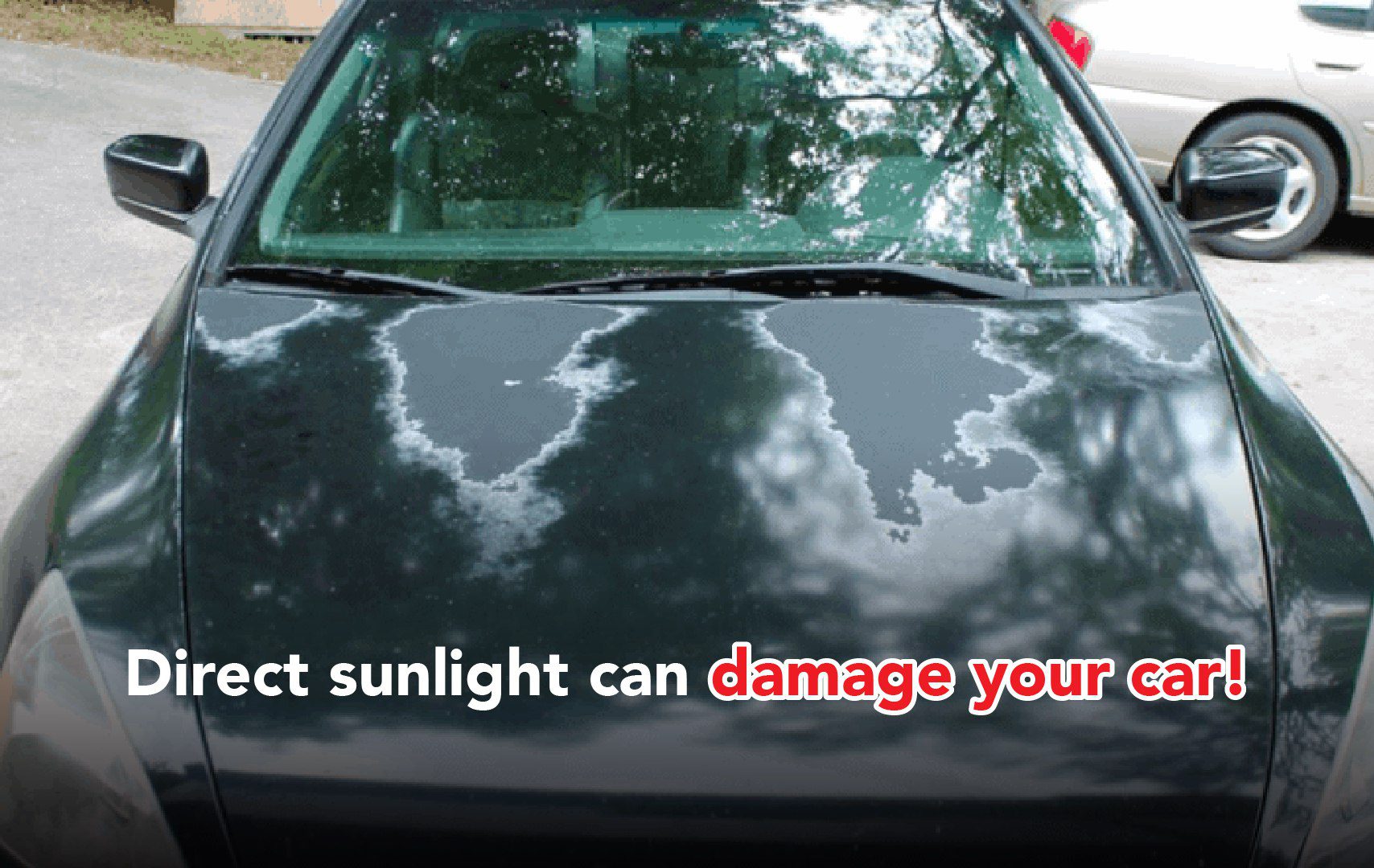 split image showing a corroded fender vs. a well protected paint job