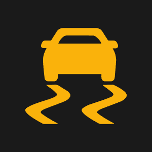 traction control light traction control light
