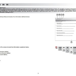 Lamborghini Murciélago Coupé LP640-1 L824 ws 2009 Service Repair Manual