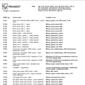 Peugeot 307 407 607 806 807 406 306 106 107 Fault Codes list