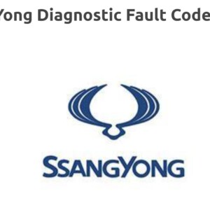 SsangYong Diagnostic Trouble Codes list 