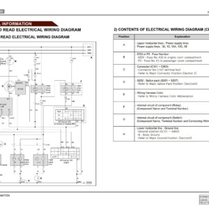 SsangYong Kyron D146 2010.01 Service Manual Wiring Diagram