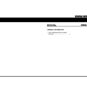 SsangYong Rodius A130 2007.07 Service Manual Wiring Diagram