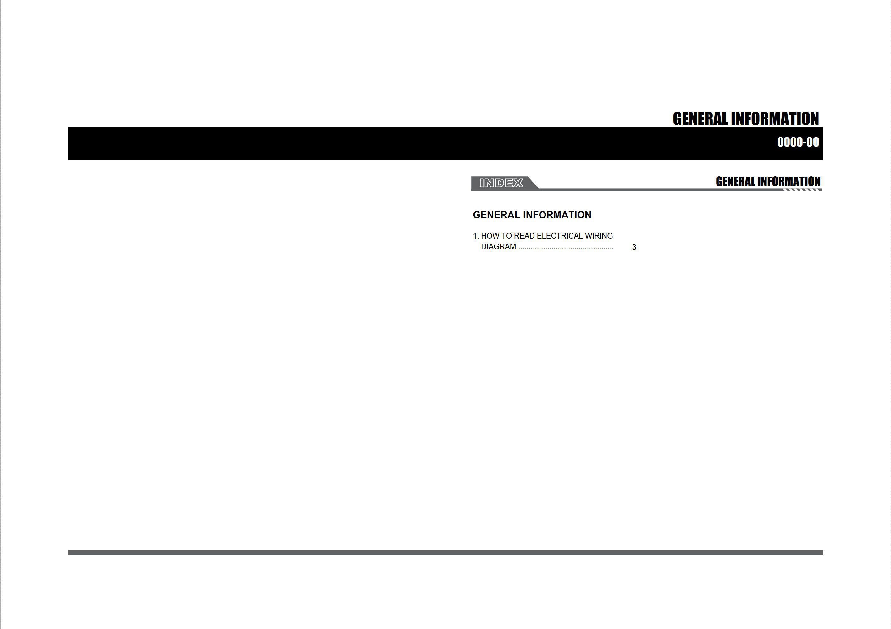SsangYong Rodius A130 2007.07 Service Manual Wiring Diagram