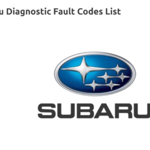 Subaru Diagnostic Trouble Codes list 
