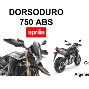 Aprilia Dorsoduro 750 ABS 2008 Owner’s Manual