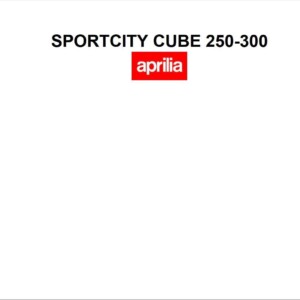 Aprilia Sportcity Cube 250-300 2010 Owner’s Manual