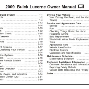 Buick Lucerne 2009 Owner's Manual