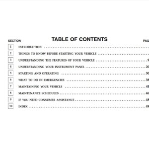 Dodge Caravan 2007 Owner's Manual
