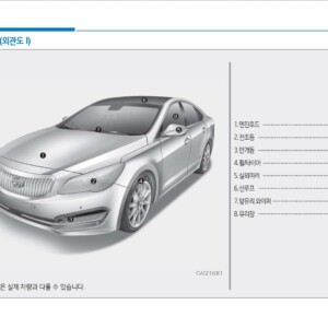 Hyundai Aslan 2017 Owner’s handbook