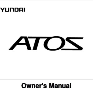 Hyundai Atos 2002 Owner's Manual
