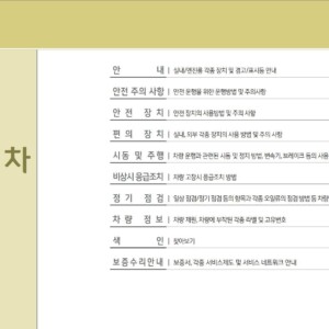Hyundai Blue City 2015 Owner's Manual
