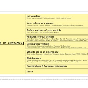 KIA Cadenza 2015 Owner's Manual