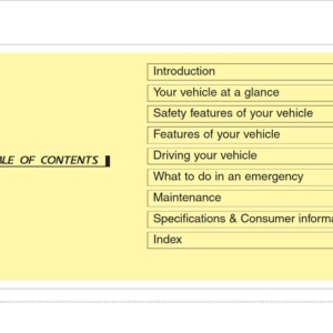KIA Carens 2010 Owner's Manual