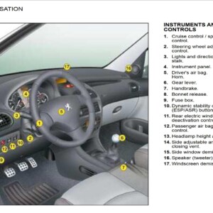 Peugeot 206 Dag 2008 Owner's Manual