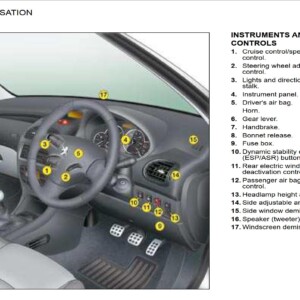 Peugeot 206 SW 2008 Owner's Manual