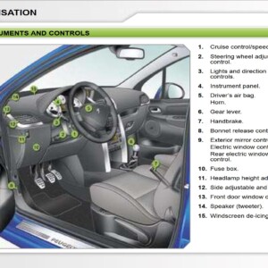 Peugeot 207 Dag 2005 Owner's Manual