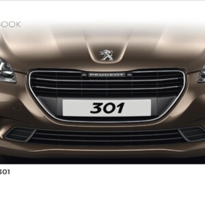 Peugeot 301 2015 Owner's Manual