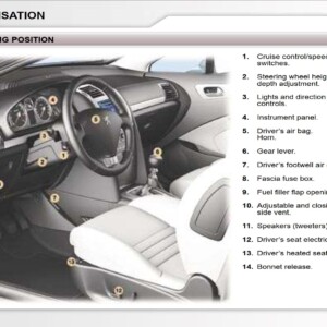 Peugeot 407 C Dag 2007 Owner's Manual