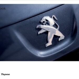 Peugeot Expert Tepee 2012 Owner's Manual