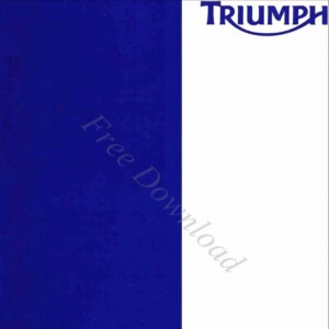 Triumph Daytona 675 R 2012 Owner’s Manual