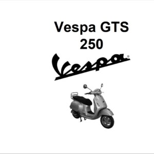 Vespa gts 250 300 Owner’s Manual