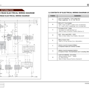 SsangYong Actyon C100 2006 Service Manual Wiring Diagram