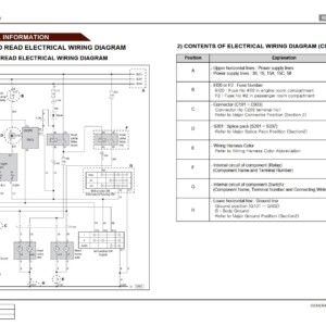 SsangYong Kyron D100 2005 Service Manual Wiring Diagram