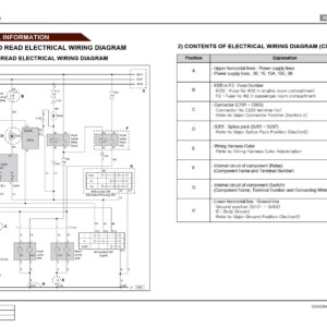 SsangYong Kyron D120 2006 Service Manual Wiring Diagram